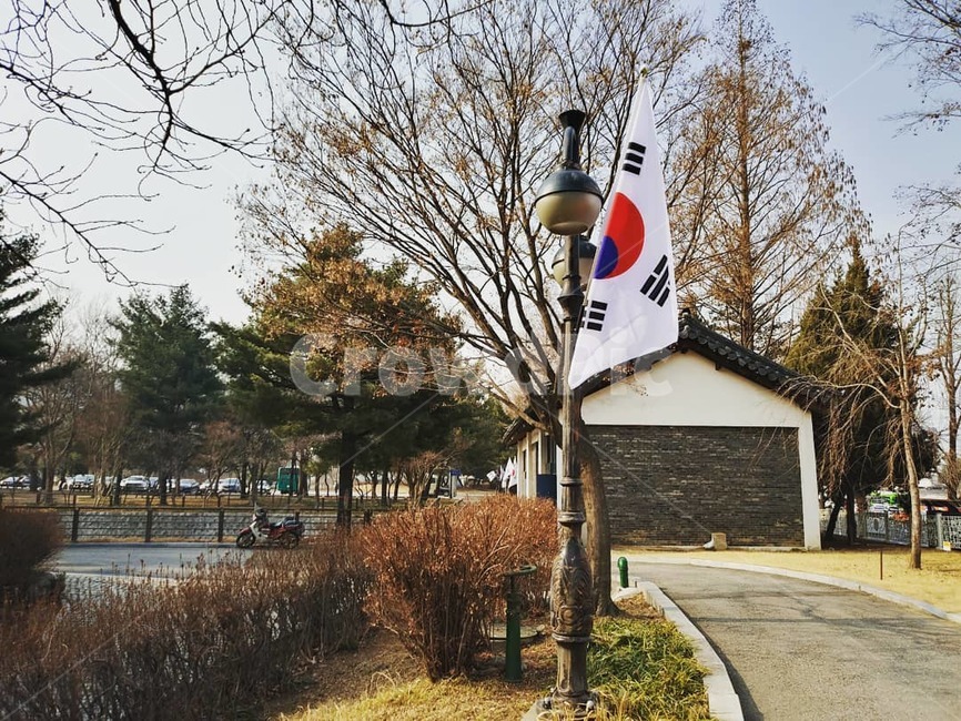 현충원,태극기,현충원공원,공원,나무
