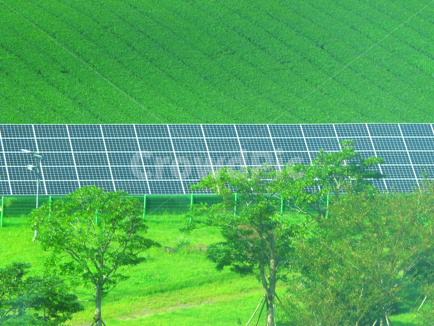 field,들,초목,식물,plant,태양광,솔라,솔라패널,밭,경작지,패턴,pattern,solar,sun,초록색,나무,친환경,신재생에너지,전력생산