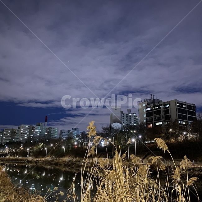 building,건물,도시,야경,도시야경,밤,겨울,하늘