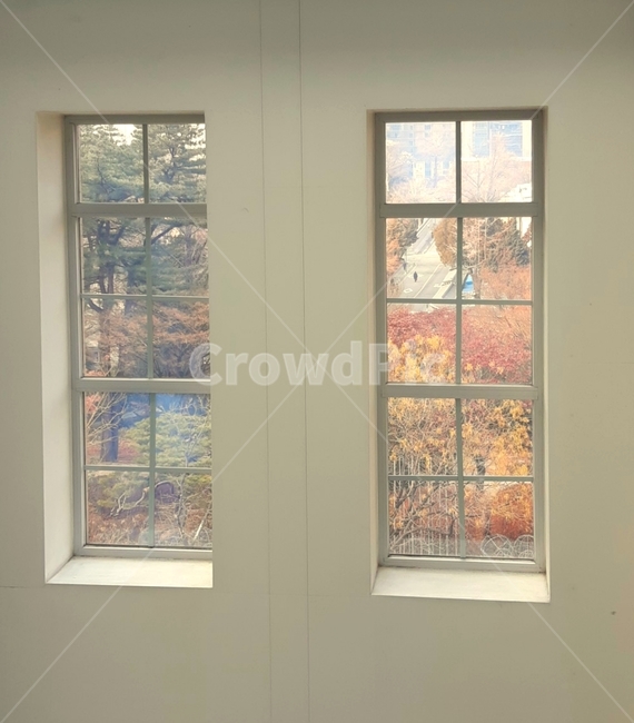 단풍,가을,창문,분위기있는,배경,창문밖풍경,가을,계절,fall,autumn,season