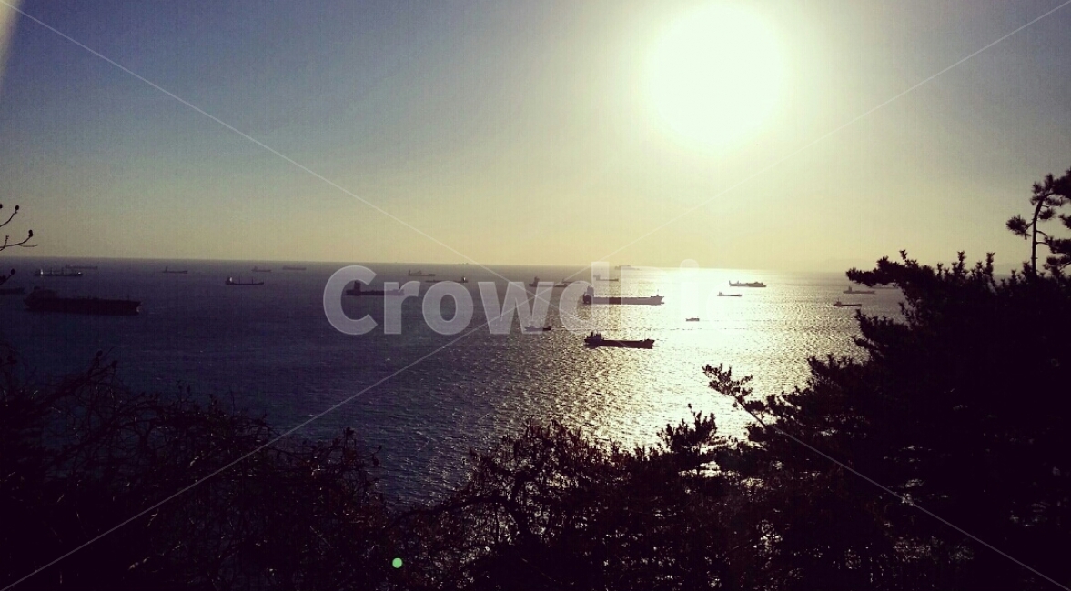 바다,하늘,겨울,해,나무,해안,새,바람,노을,저녁,여행,휴식,힐링,구름,경치,자연,자연,풍경,nature,landscape,교통,교통수단,traffic,transportation,outdoors,옥외,sky,sun,태양,vehicle,차량,boat,보트