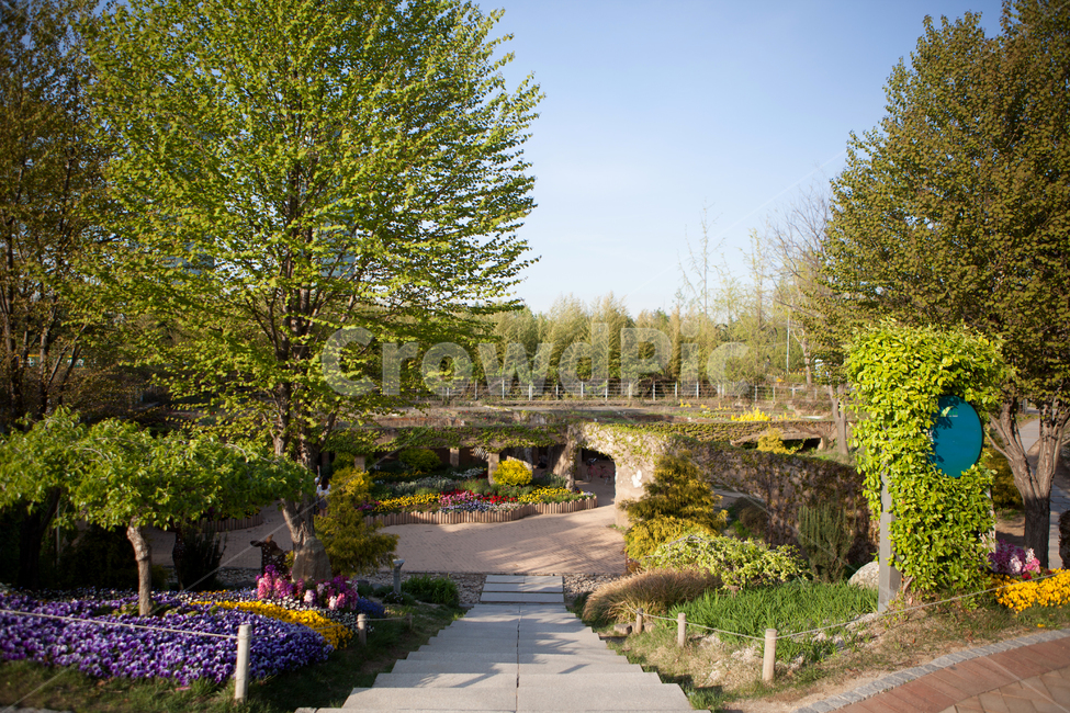 plant,식물,tree,나무,봄,여름,공원,숲,꽃,봄꽃,자연,풍경,도시공원,서울숲