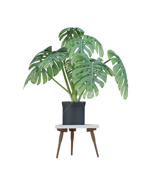 plant,식물,화분,소품,인테리어,누끼,remove background