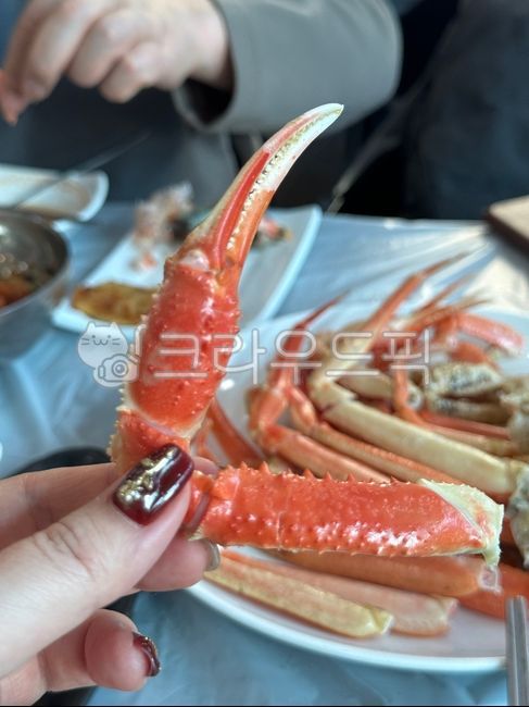 대게,게,게집게발,게집게,게다리,해산물