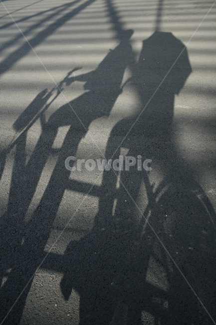 그림자,햇빛,빛,자전거,커플,연인,여름,bike,둘이,둘,같이,너와나,인물실루엣,사람실루엣,character silhouette,human silhouette,asphalt,아스팔트,road,도로,zebra crossing,얼룩말 교차점