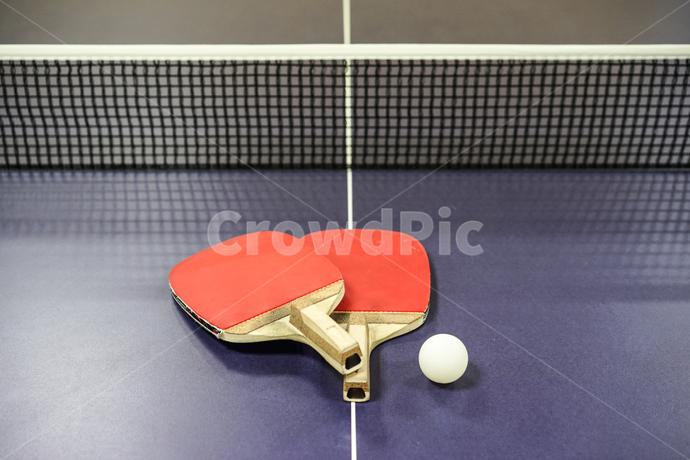 탁구,탁구대,스포츠,탁구라켓,탁구공,tabletennis,스포츠,레저,운동,sports,leisure,exercise,사물,물건,오브젝트,thing,object,matter