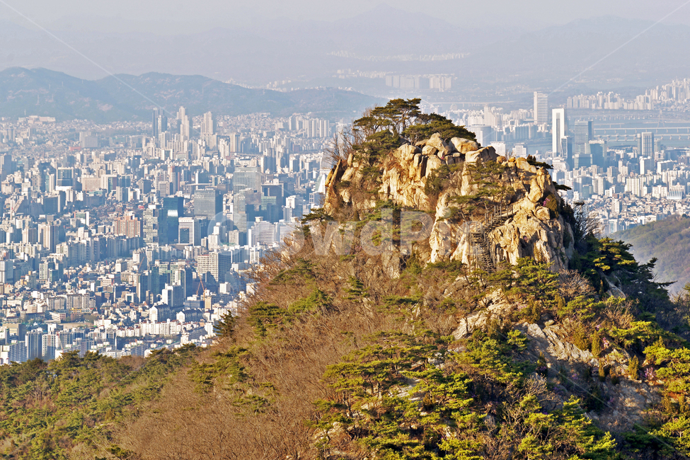 봉우리,관악산,강남,도심풍경,산,등산,과천