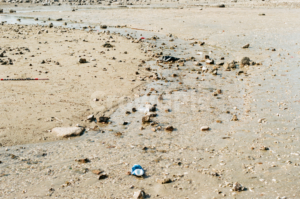 바다,갯벌,갯모래,흐르는물,자갈,해변,바다,beach,sea