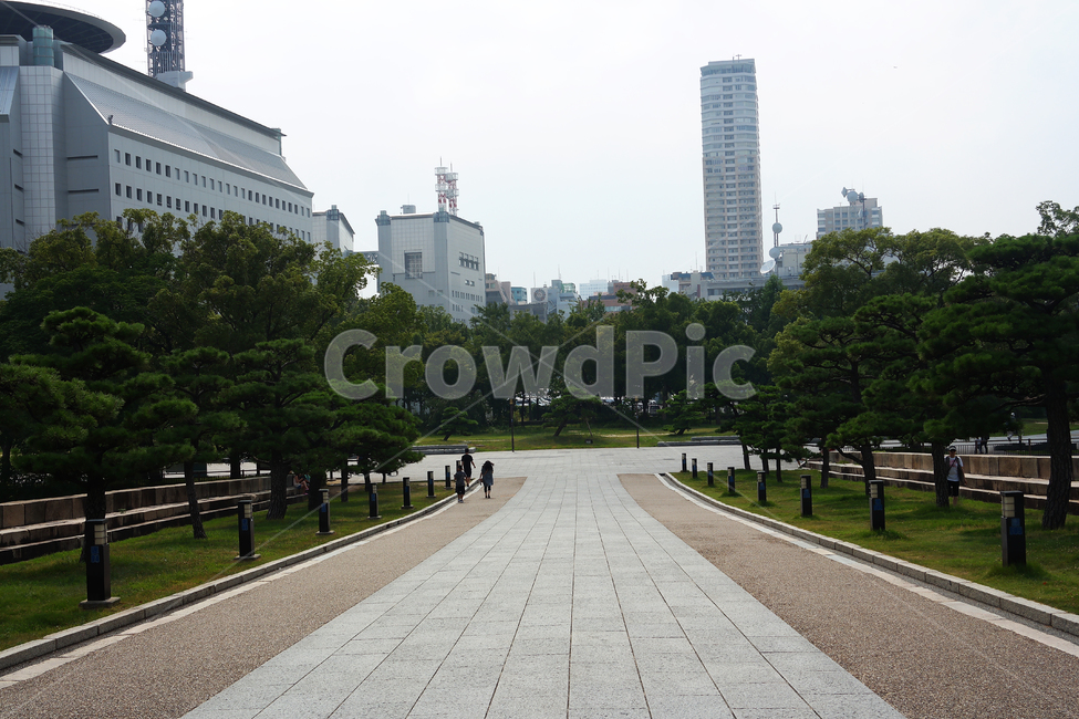나무,길,배경,건물,풍경,도시,풍경,city,landscape,path,통로,walkway,보도,flagstone,판석,sidewalk,pavement,포장