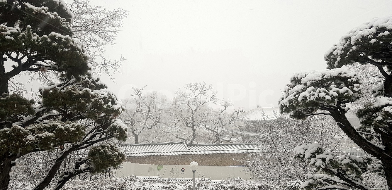 첫눈,창덕궁,고궁설경,돈화문,firstsnow,changdeokgung,겨울,계절,winter,season,자연,풍경,nature,landscape,outdoors,옥외