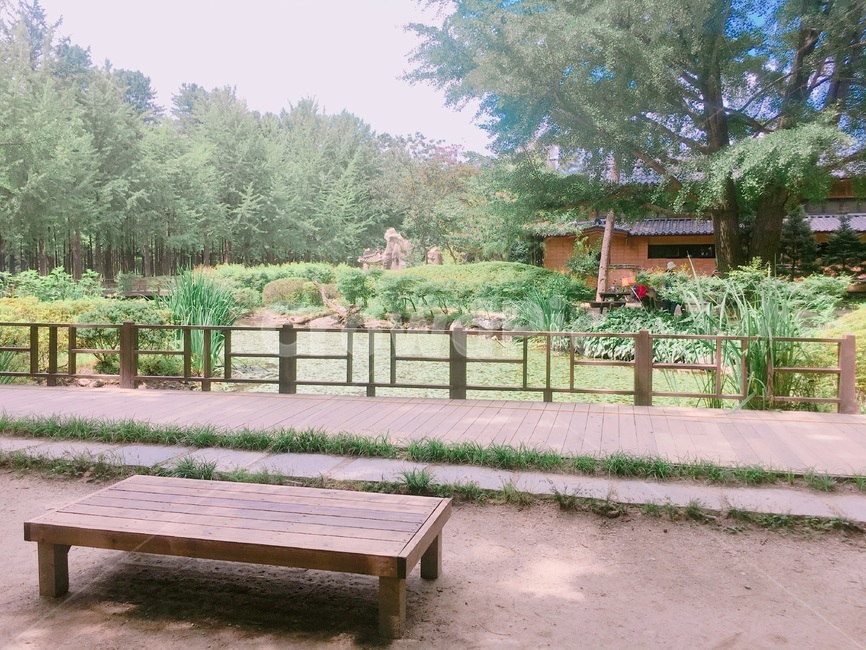 남이섬,정자,자연,풍경,맑음