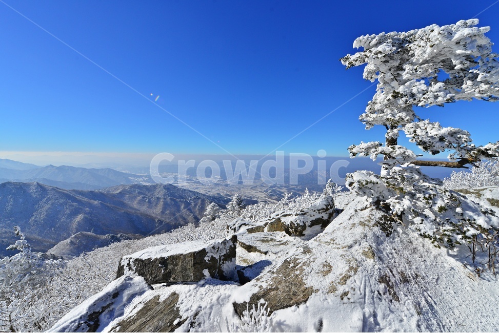 mountain,산,mountainrange,산맥,snow,눈,nature,자연,outdoors,옥외,tree,나무,plant,식물,전나무,fir,경치,경관,풍경,무주,덕유산,덕유산설경,설경,겨울,계절,상고대,향적봉,설천봉,중봉