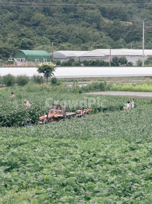 outdoors,옥외,농촌,시골,country,경운기,할머니,할아버지,시골,마을,풍경,landscape,country,rural,town