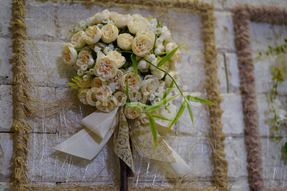 꽃,플라워,장미,화이트,흰색,식물,장식,감성,생물,생화,flower,꽃,flower,기념일,축하,anniversary,congratulation,celebrate,celebration