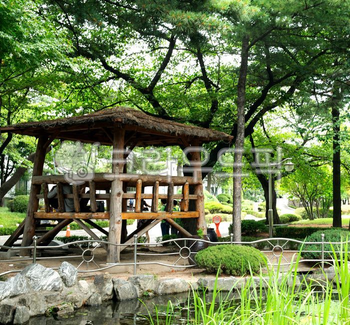 pond,street lamp,tree branch,stairs,iron fence,soil,scenery,trees,Jeongdok Library,leaves,thatch,pavilion,grass,water plant,land,treetrunk,wood,weed,dock,floor,lights,garden tree,green,tree,changdok,leaf,water,lanterns,stone,foliage,Seoul Bukchon,outdoors