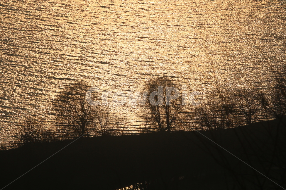 실루엣,한강,풍경,나무,공원,자연,풍경,nature,landscape,silhouette
