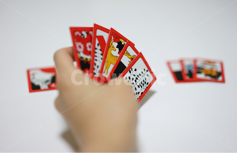화투,고스톱,카드게임,게임,도박,손가락,하나후다,게임,오락,놀이,game,play