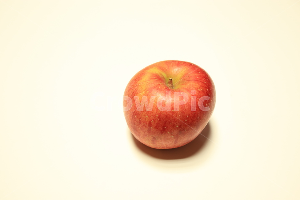 apple,사과,과일,fruit,plant,식물,food,음식
