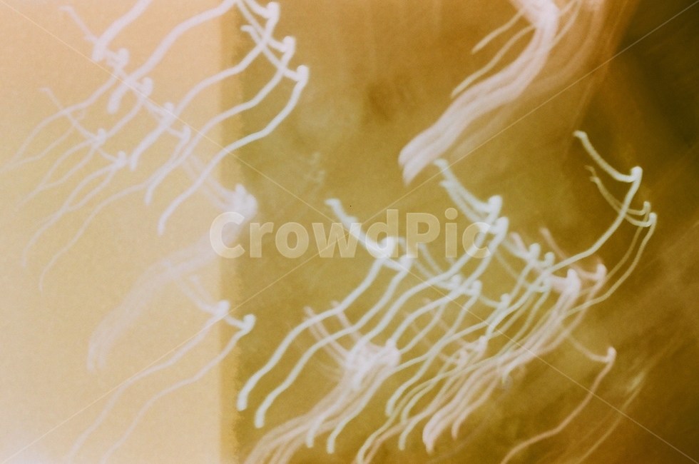 빛,불빛,노랑,yellow,light,어지러움