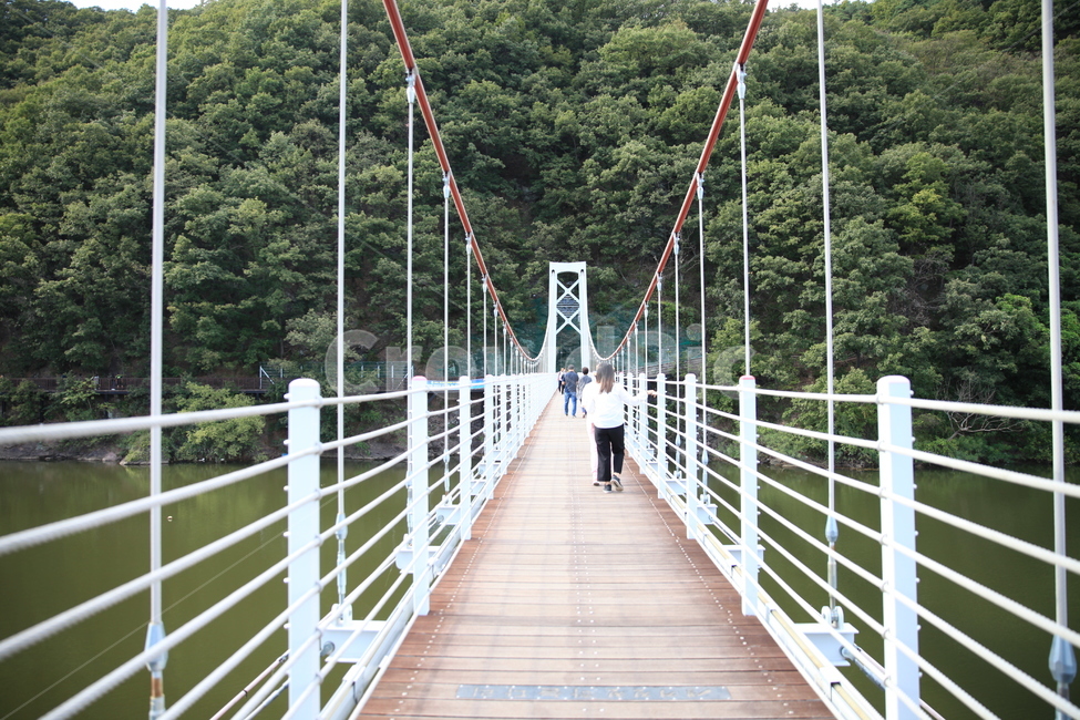 초롱길구름다리,구름다리,흔들다리,초평저수지,human,인간,person,사람,building,건물,bridge,다리,건너다,오가다,줄,line,선,원근,난간,저수지,산,물