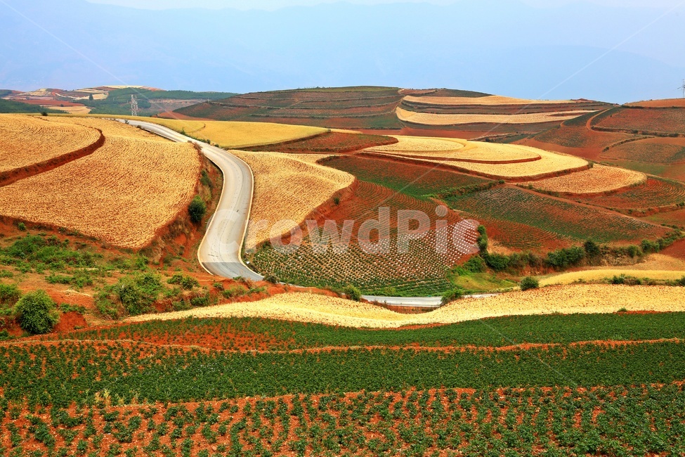 nature,자연,outdoors,옥외,landscape,경치,plateau,고원,scenery,풍경,hill,언덕,field,들,중국,운남성,홍토지,운남홍토지,비경,패턴,자연,풍경,nature,landscape,해외,외국,세계,foreign,oversea,world,세계자연풍경,해외자연풍경,외국자연풍경,world nature landscape
