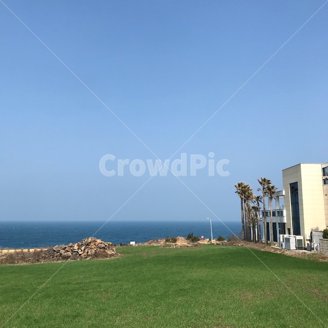 jeju,jejudo,sea,제주,제주도,바다,야자수,풍경,잔디