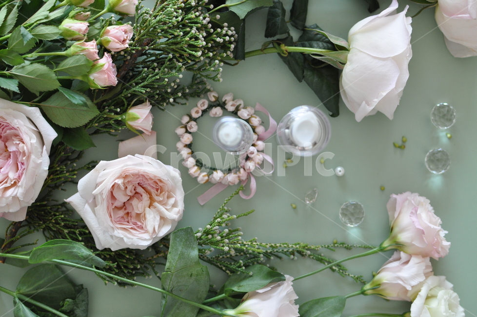 plant,식물,로즈,rose,블라썸,수입장미,기념일,축하,선물,장미,연핑크로즈,인테리어소품,화장품,인테리어장식,감성,꽃,장식소품,꽃배경,쉐비,집꾸미기