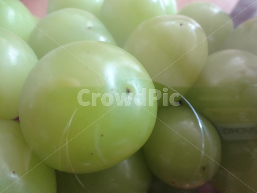 청포도,샤인머스켓,과일,음식,food,shinemusket,greengrape,열매