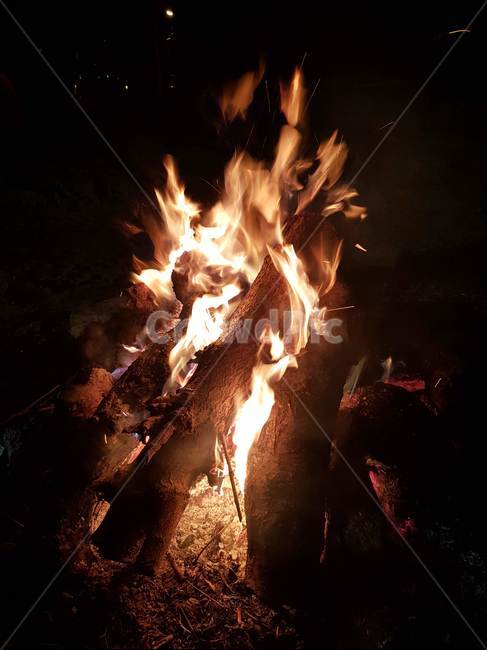 장작불,모닥불,불꽃,장작,시골