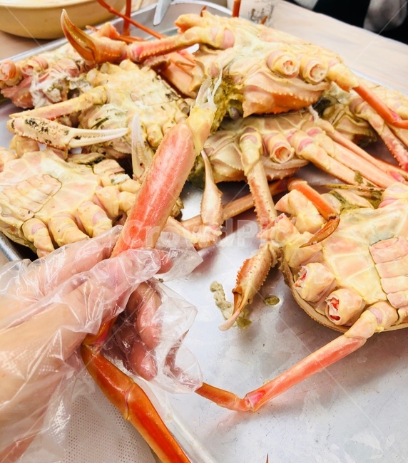 꽃게,대게,게,외식,집게,영덕대게,영덕