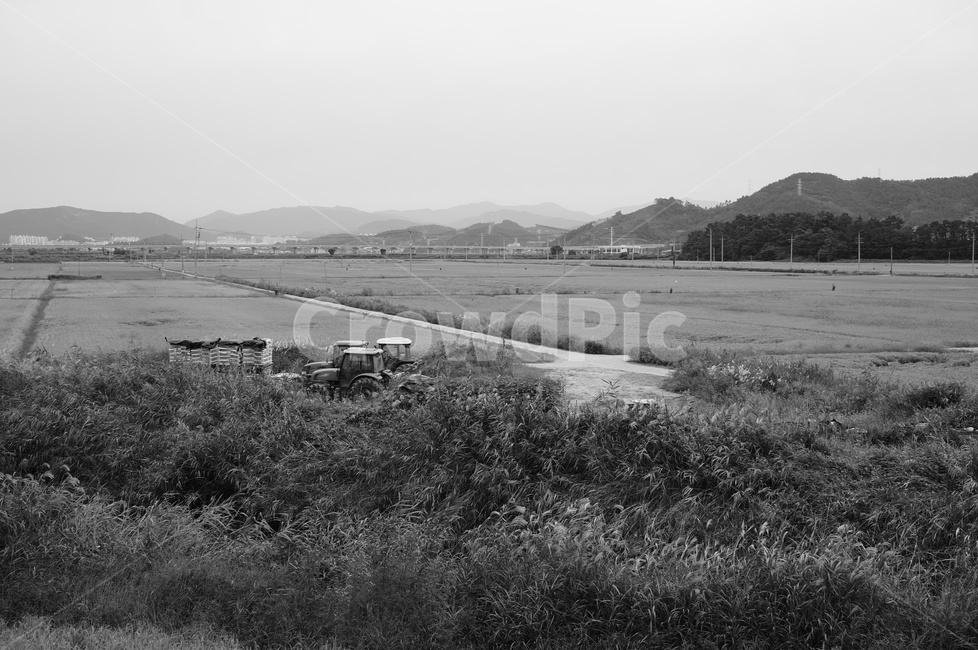 순천,농사,과거,흑백,논,자연,풍경,nature,landscape,시골,마을,country,rural,town,흑백,모노톤,monochrome,black and white,outdoors,옥외