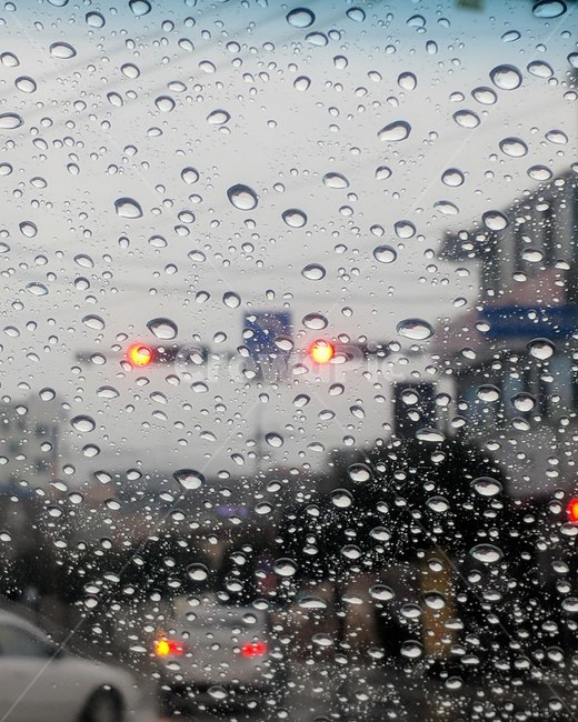 비,rain,츨근길,등교길,감성,빗방울,흐림,비,비오는날,rain,rainy