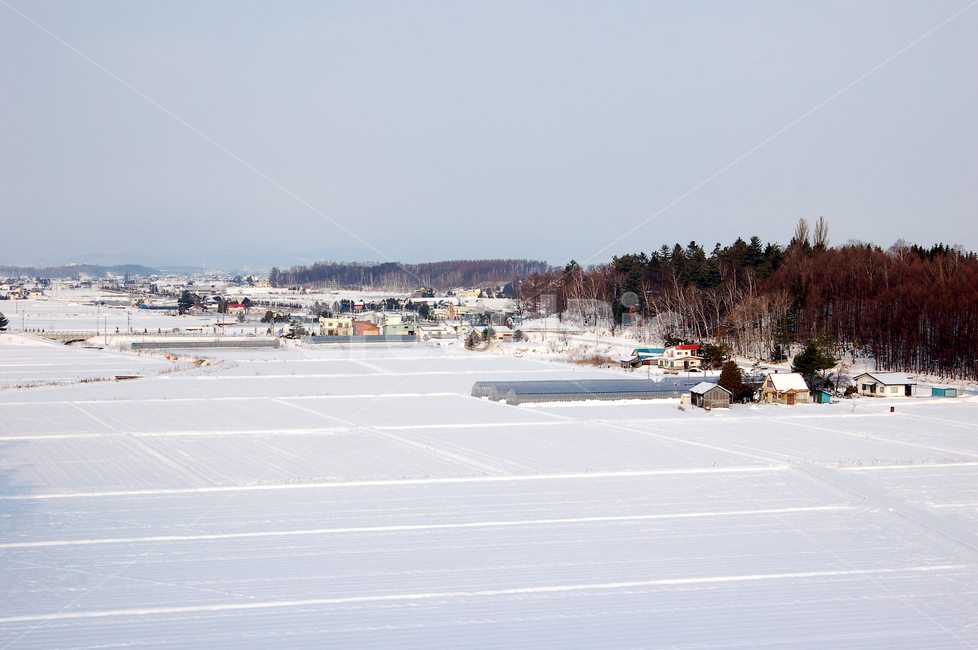 설경,겨울,눈,풍경,시골,전원,밭,논밭,마을,집,주택,시골마을,겨울,계절,winter,season,자연,풍경,nature,landscape,airport,공항