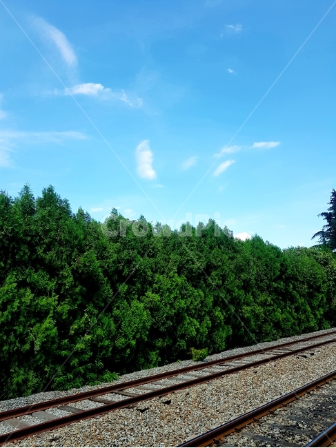 traintrack,기찻길,rail,레일,transportation,교통,railway,철도