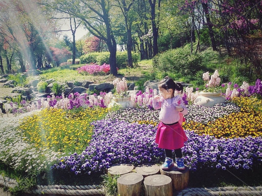 봄,꽃밭,여자이이,어린이,봄소풍,사람,인물,인간,human,person,어린이,어린아이,child,children,kid