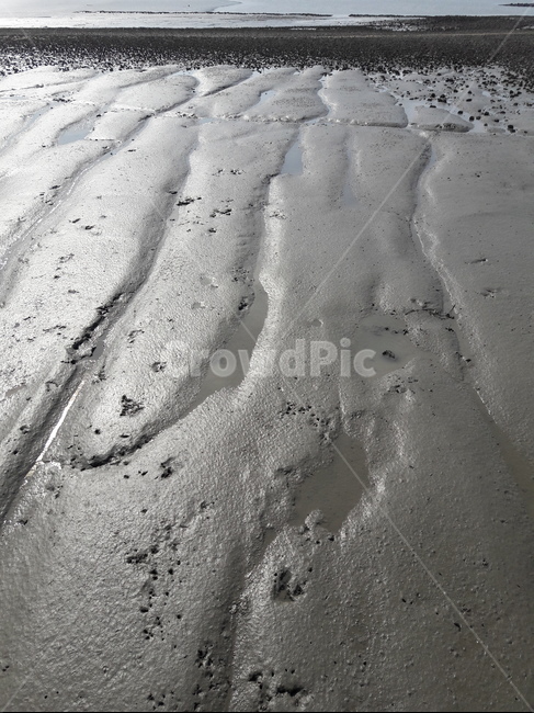 갯벌,getbol,sand,자연,nature,모래,옥외,outdoors,seaside,해변,자연,풍경,nature,landscape