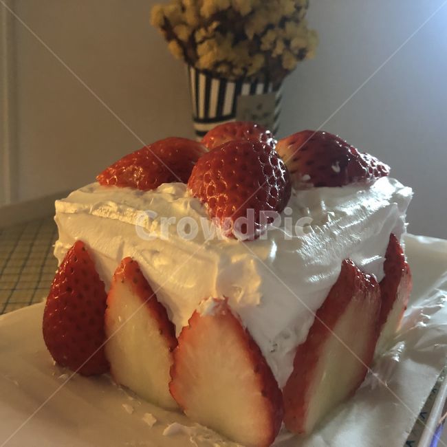 딸기케이크,strawberrycake,케이크,생크림케이크,드라이플라워,dryflower,노란꽃,딸기케이크,빨간색,흰색,디저트,간식,후식,dessert,snack