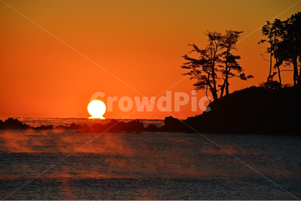 nature,자연,outdoors,옥외,sky,하늘,dawn,새벽,redsky,붉은하늘,sunlight,햇빛,울산,울주,명선도,강양항,명선도아침,일출,해돋이,여명,소나무,경치,경관,풍경,물안개,자연,풍경,nature,landscape