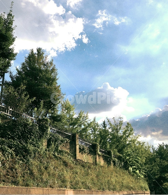 서울,구름,나무,하늘,풍경,자연,풍경,nature,landscape,tree,plant,식물