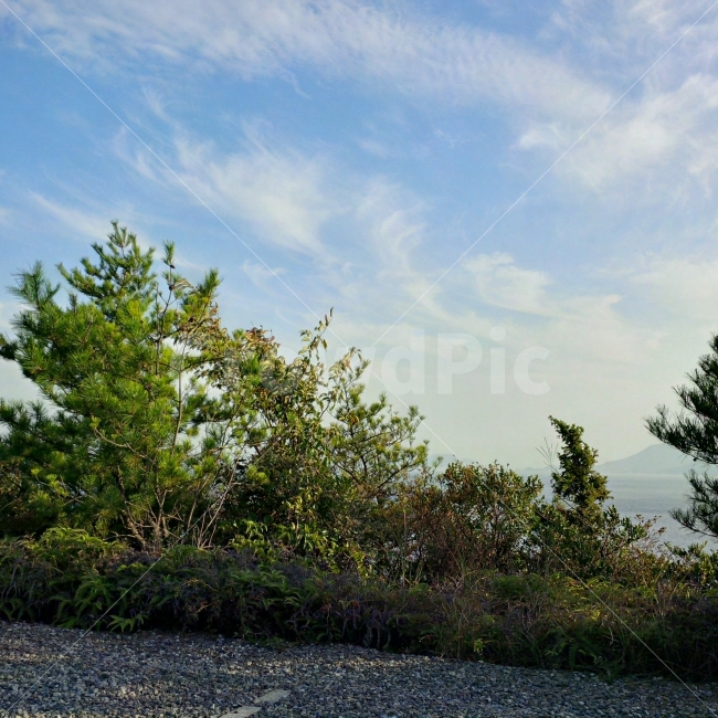 나무,풍경,하늘,구름,감성,일본,자연,풍경,nature,landscape