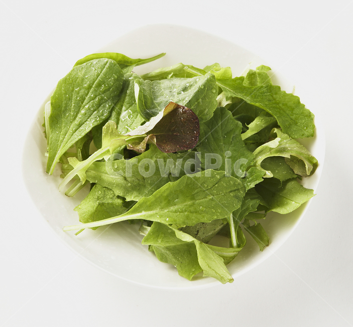 샐러드,건강,자연,salad,diet,food,다이어트,식물,식푸,어린잎,스프링,spring,음식,식재료,요리,food,cook,meal,dishes,food reserves