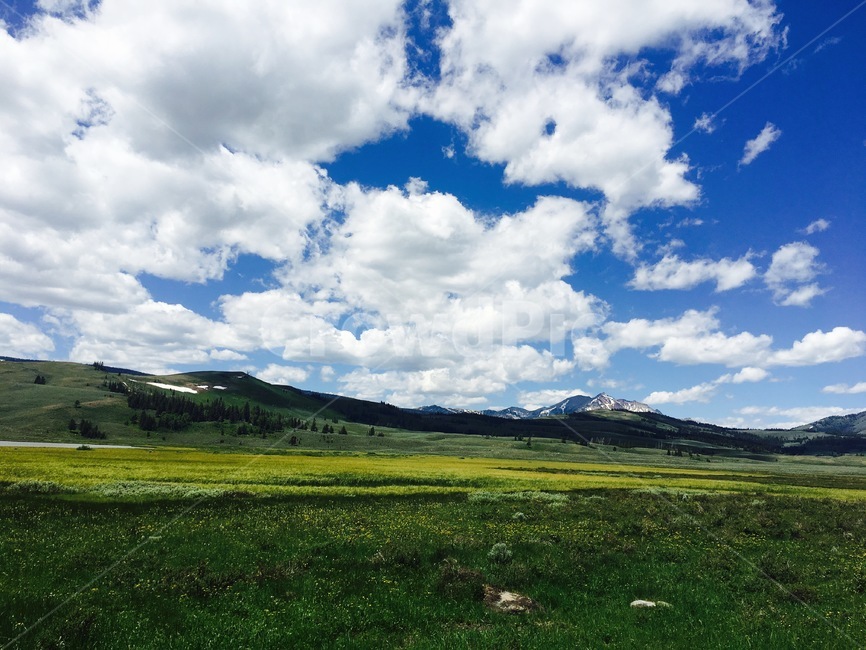 grassland,목초지,field,outdoors,nature,자연,평화,sky,cloud,구름,초록,푸른,자연,풍경,nature,landscape,들,옥외