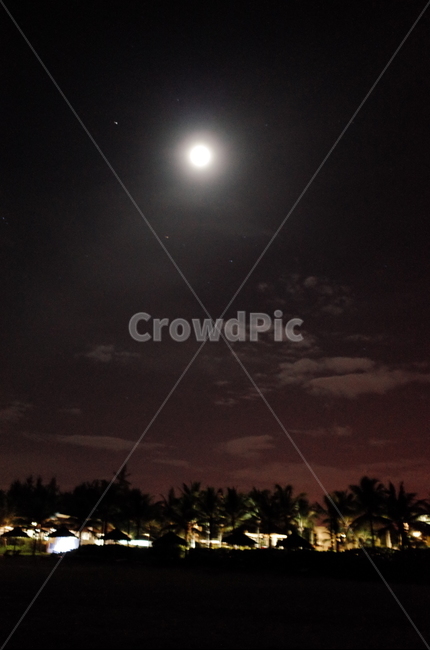 달빛,달,야경,야자수,밤,야경,밤,풍경,nightscape,night,landscape,nature,자연,outdoors,옥외