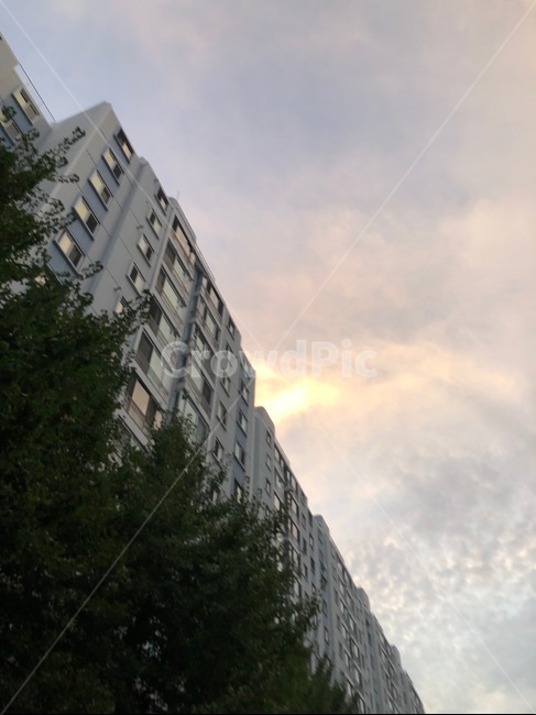 city,시티,도시,town,어반,urban,building,고층건물,highrise,아파트,나무,하늘,sky,tree