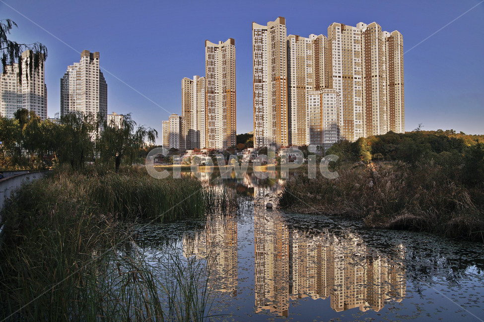 reflection,Gwanggyo Lake Park,Wonwon Reservoir,water plant,Yeongtong,autumn,Suwon,park,apartment