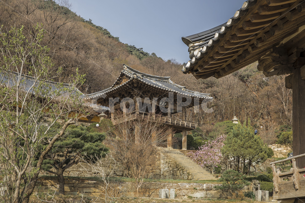 사찰,무량수전,기와,문화유산,관광명소,전통유산,한국전통,한국문화,korean traditional,korean culture,종교,신앙,religion,belief,faith,건축물,건물외관,exterior,building,structure,architecture,construction
