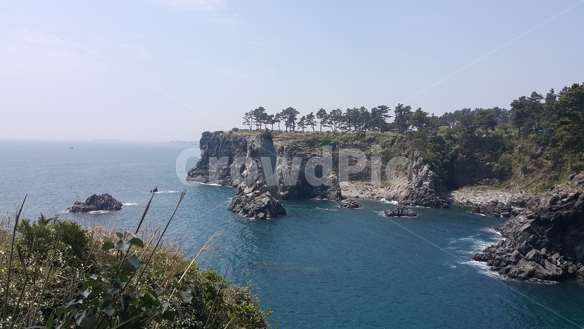 제주도,서귀포,바다,절벽,자연,절경,소나무,풍경,자연,풍경,nature,landscape,한국자연풍경,한국자연경관,korea nature landscape,outdoors,옥외,land,땅,promontory,곶,shoreline,해안선,water,물,sea,ocean,대양