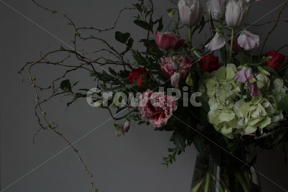 꽃,flower,blossom,장미,수국,나뭇가지,풀,식물,꽃다발,실내,꽃꽃이,꽃,flower