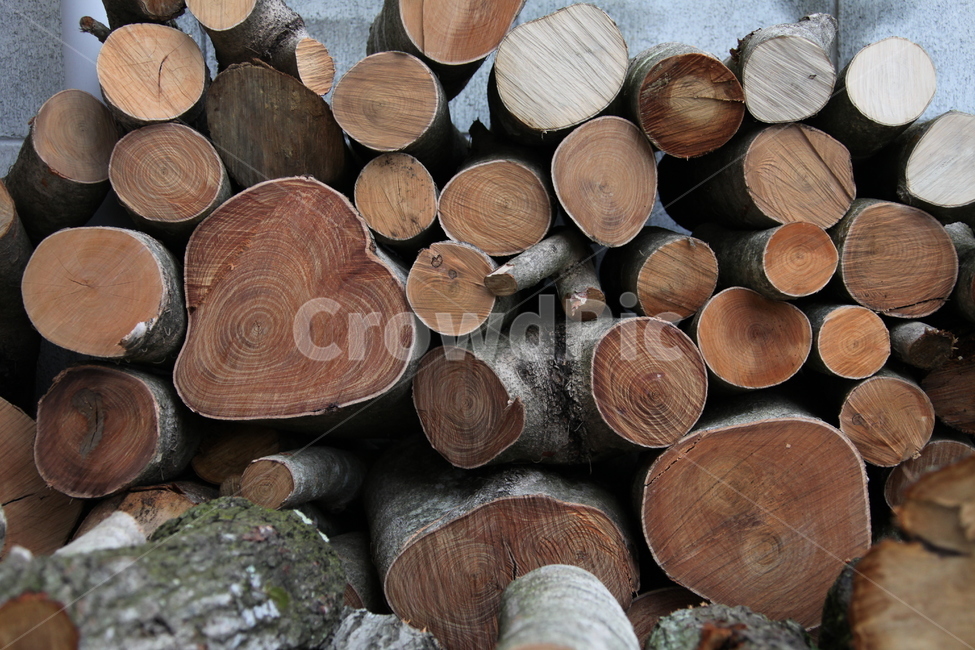 wood,나무,lumber,재목,tree,갈색,brown,pile,무더기,통나무,log