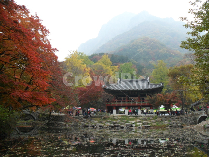 백암산,백양사,가을,단풍,반영,가을,계절,fall,autumn,season,자연,풍경,nature,landscape,한국자연풍경,한국자연경관,korea nature landscape,사람들,대중,군중,other people,crowd,building,건물,architecture,건축물,temple,신전,shrine,신사,worship,예배,pagoda,탑